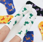Kids Socks - Dinosaur Socks - Korea - Image 4