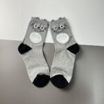 Korean Socks - Starwars Mario Garfield Totoro- Iconic Socks - Image 3