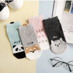 Korean Socks - Animal Panda Cat Ankle Socks - Iconic Socks - Image 13