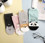 Korean Socks - Animal Panda Cat Ankle Socks - Iconic Socks