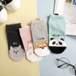 Korean Socks - Animal Panda Cat Ankle Socks - Iconic Socks